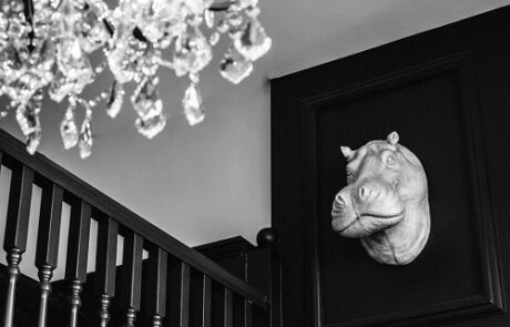 Hippo at Bertie Blossoms